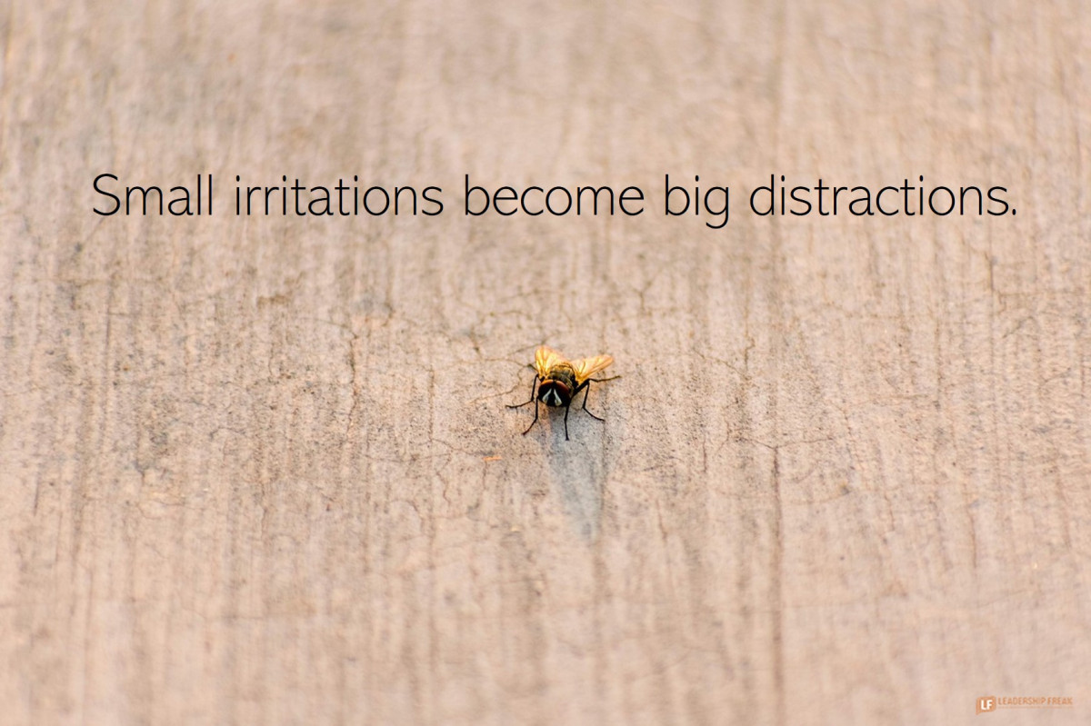 Small Irritations – The Legacy of Flies