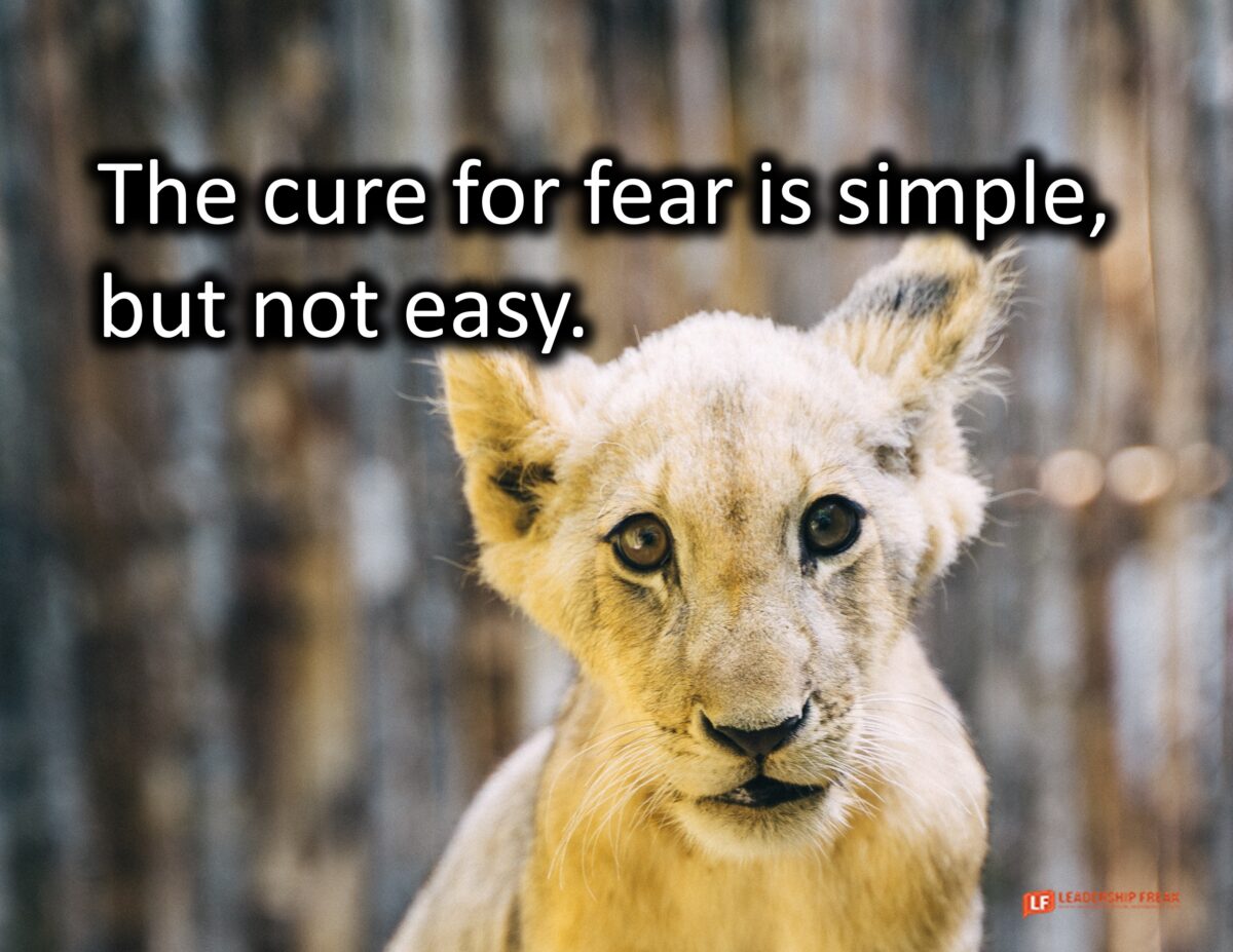 The Cure for Fear – Leadership Freak