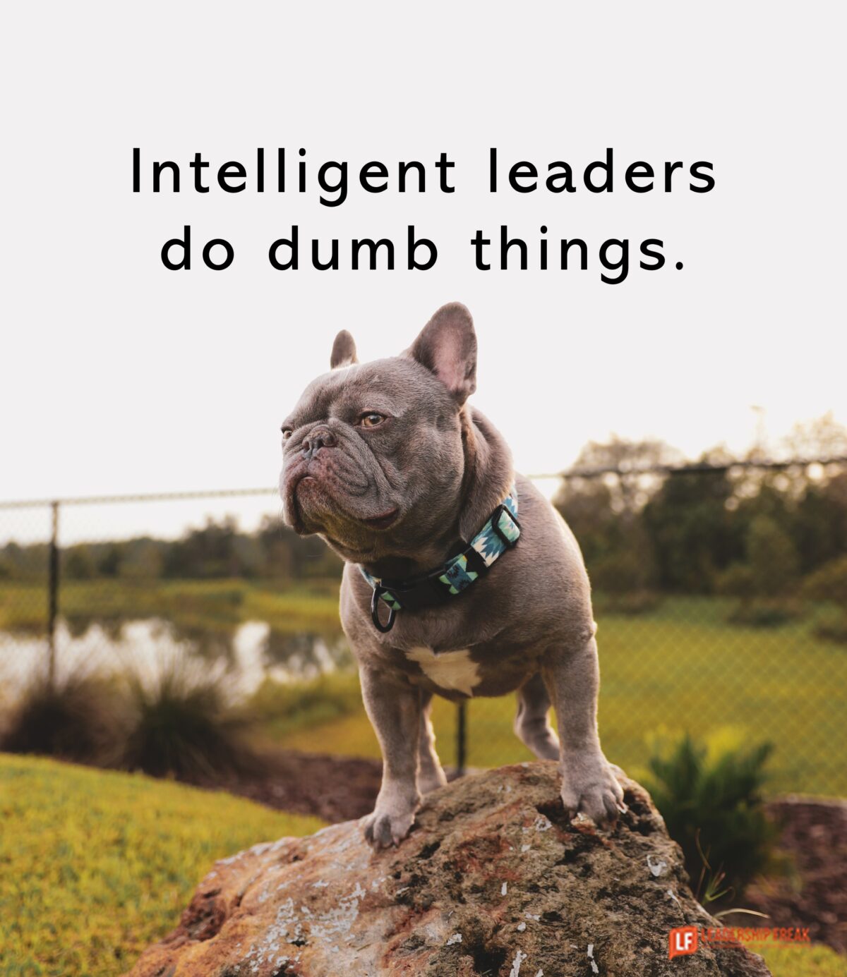 20 Dangerous Traps Intelligent Leaders Stumble into by Accident