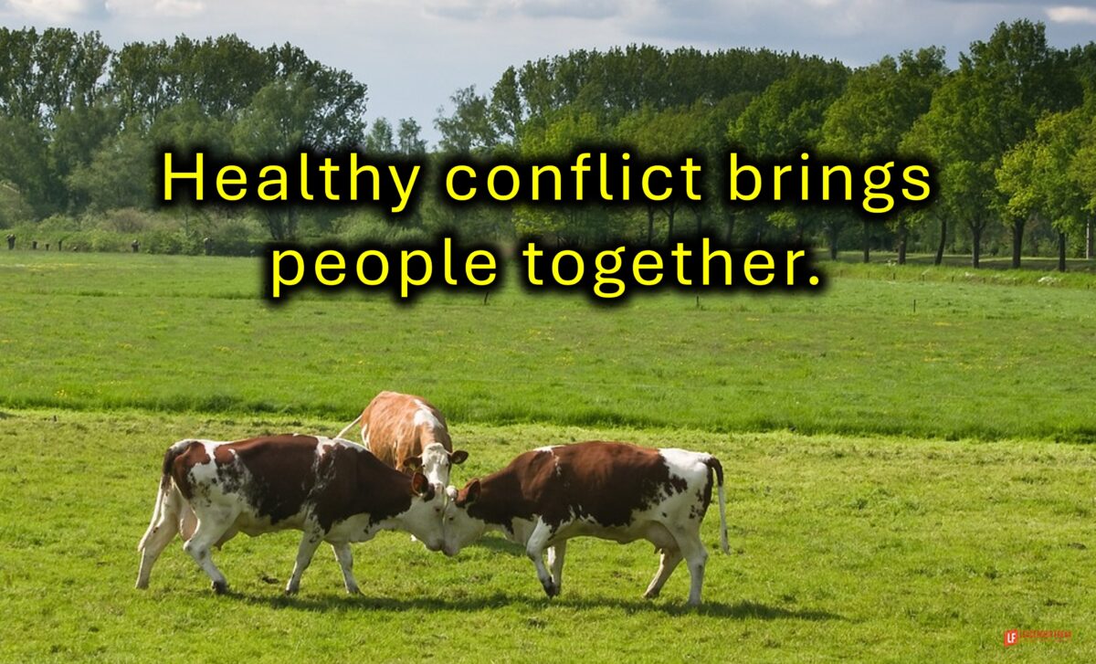 5 Essentials for Healthy Conflict