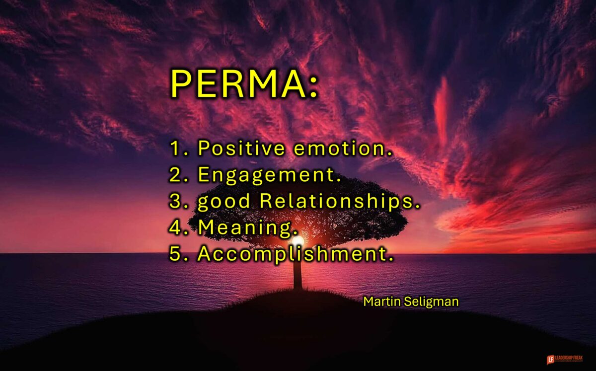 PERMA – 5 Elements to Thrive