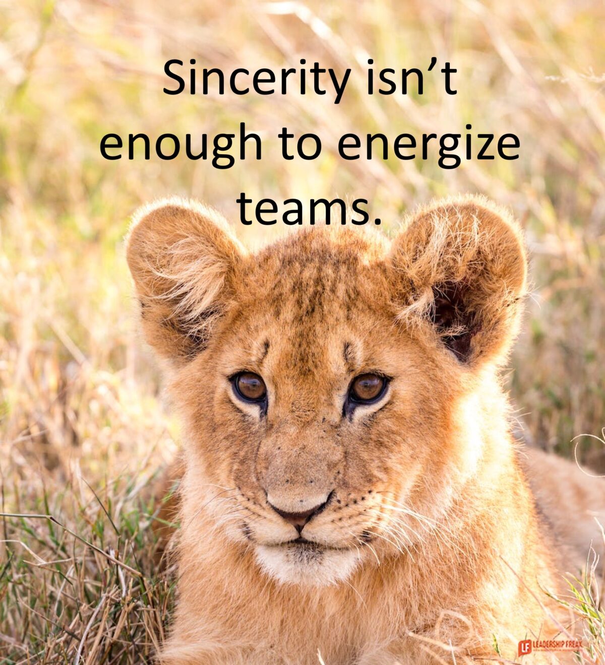 Do This to Energize Teams