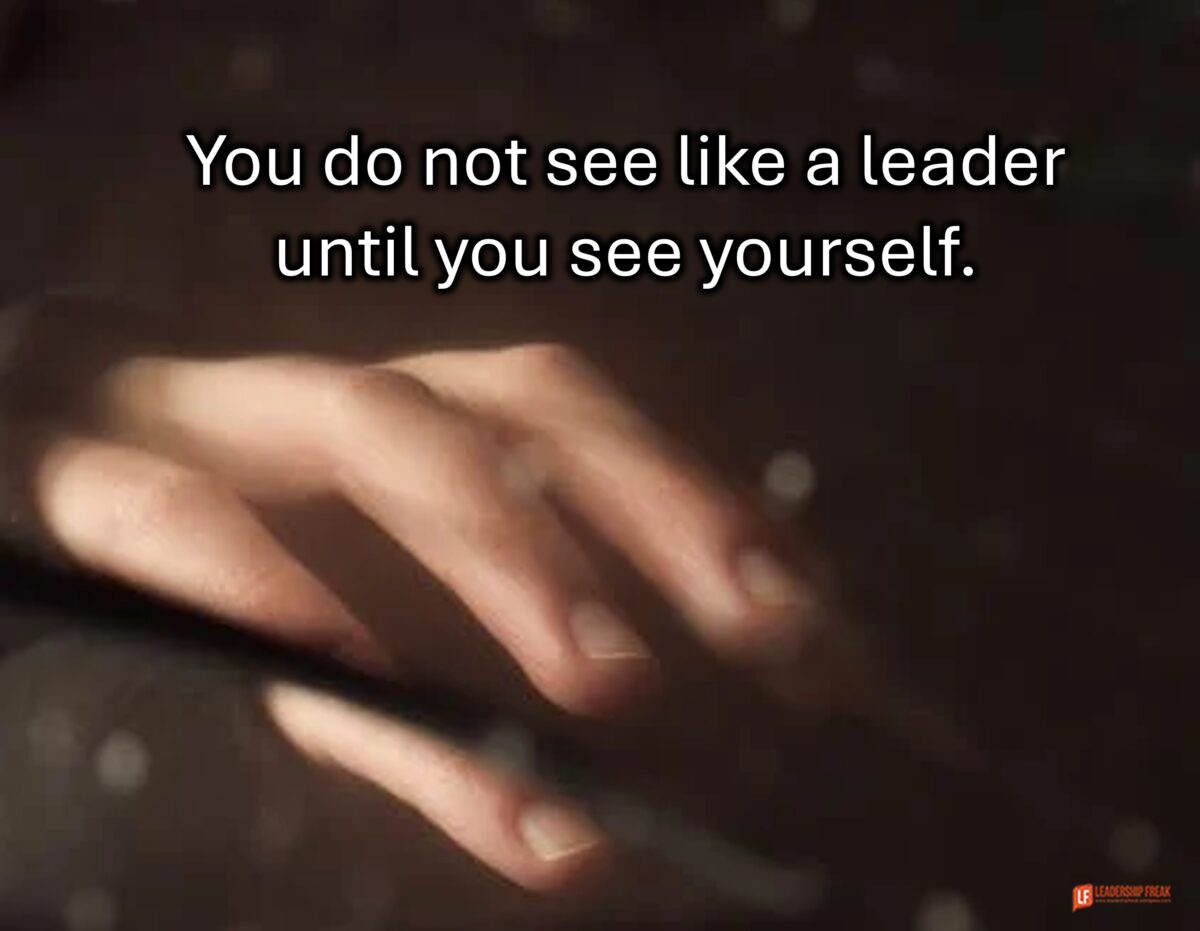How to See Like a Leader