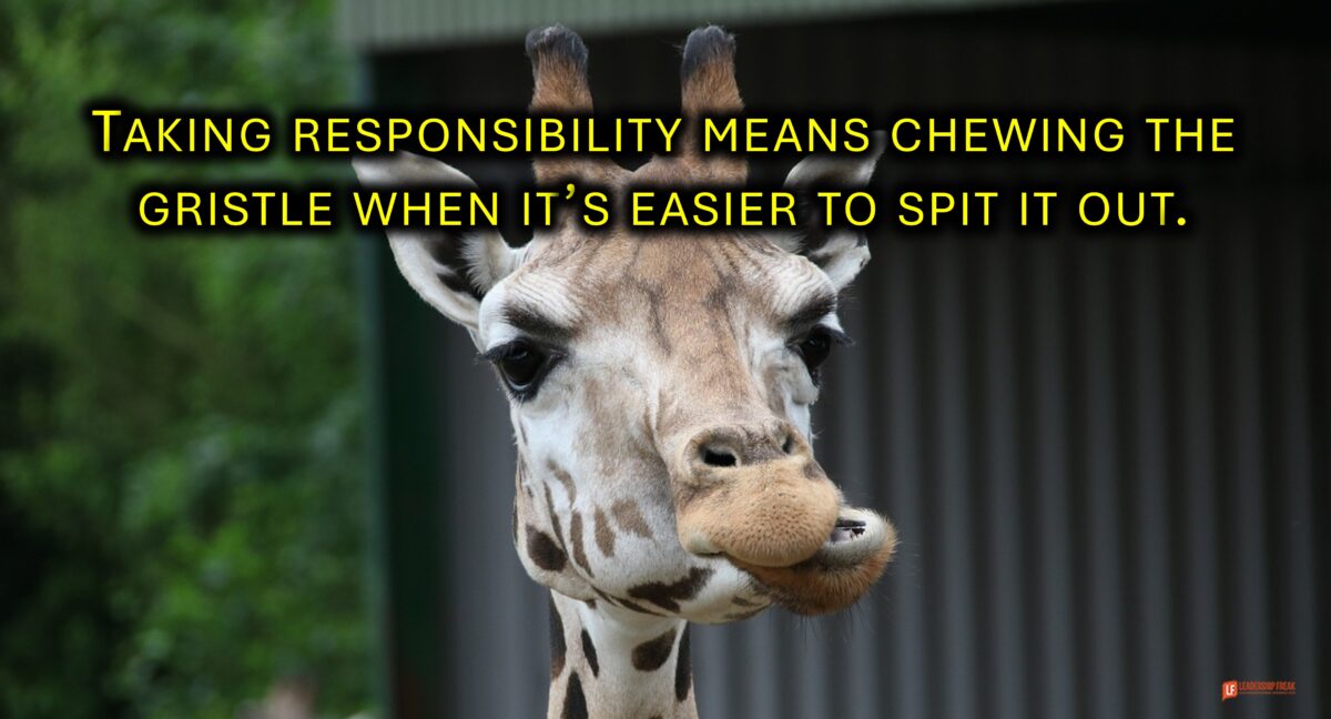 Chew the Gristle: Taking Responsibility Like a Leader